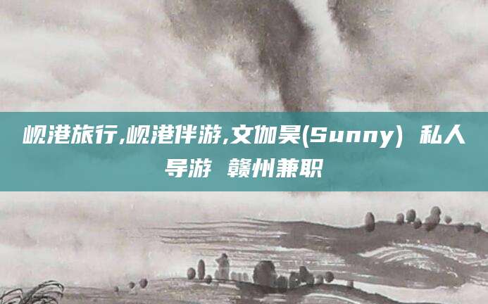 芜湖岘港旅行,岘港伴游,文伽昊(Sunny) 私人导游 赣州兼职
