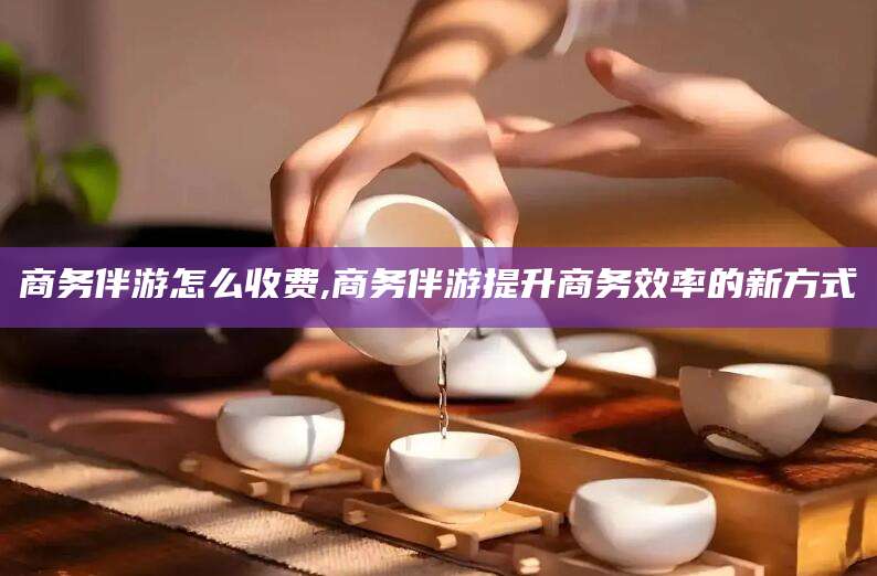 芜湖商务伴游怎么收费,商务伴游提升商务效率的新方式